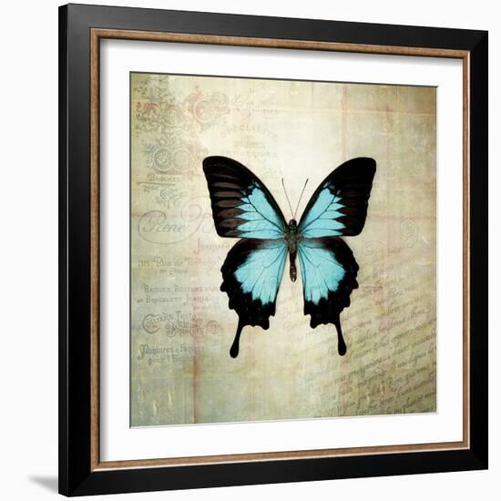 French Butterfly III-Debra Van Swearingen-Framed Art Print