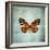 French Butterfly VIII-Debra Van Swearingen-Framed Art Print