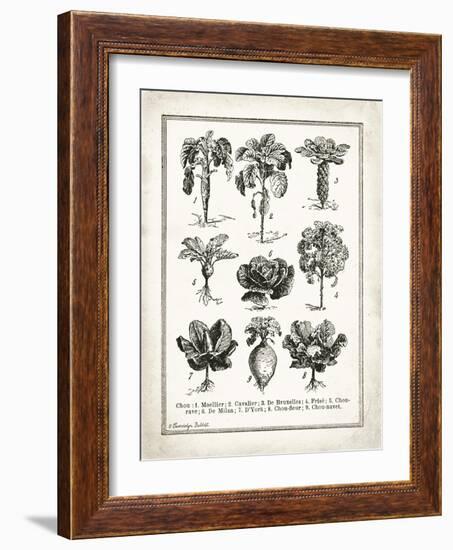 French Cabbage-Gwendolyn Babbitt-Framed Art Print