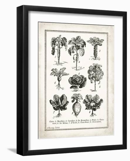 French Cabbage-Gwendolyn Babbitt-Framed Art Print