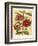 French Camelia-Samuel Curtis-Framed Art Print