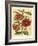 French Camelia-Samuel Curtis-Framed Art Print