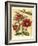 French Camelia-Samuel Curtis-Framed Art Print