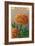 French Carnation of India Seed Packet-null-Framed Art Print
