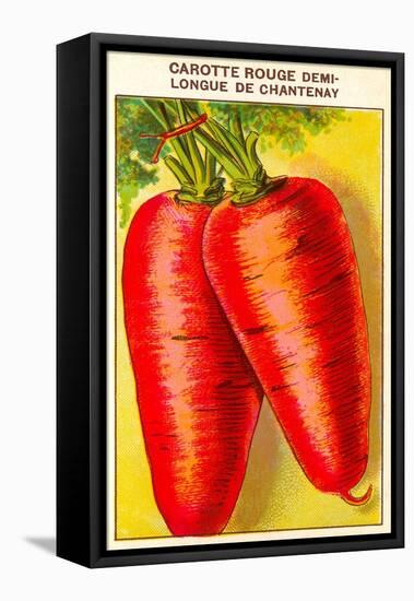 French Carrot Seed Packet-null-Framed Stretched Canvas