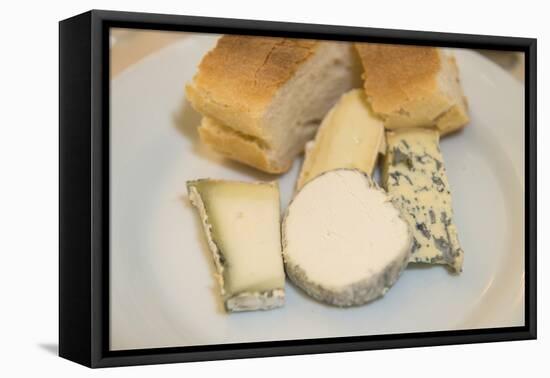 French cheese, Le Moulin Bleu, Bourgueil, Loire Valley, France-Jim Engelbrecht-Framed Premier Image Canvas
