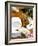 French Cheeses and Honey, France-Nico Tondini-Framed Photographic Print