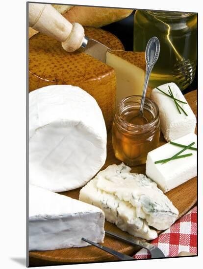 French Cheeses and Honey, France-Nico Tondini-Mounted Photographic Print