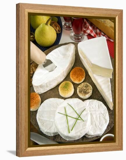 French Cheeses, France-Nico Tondini-Framed Premier Image Canvas