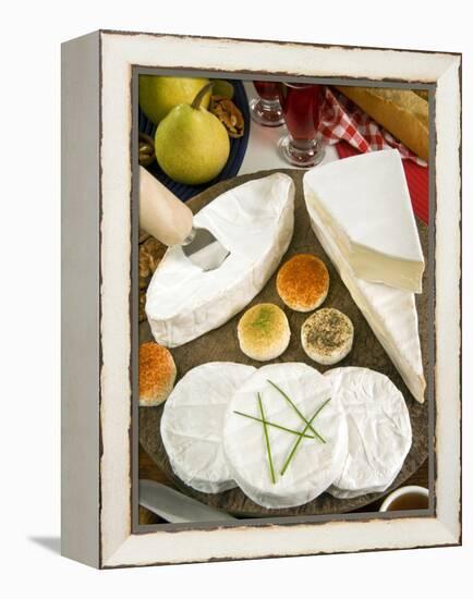 French Cheeses, France-Nico Tondini-Framed Premier Image Canvas