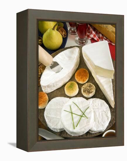 French Cheeses, France-Nico Tondini-Framed Premier Image Canvas