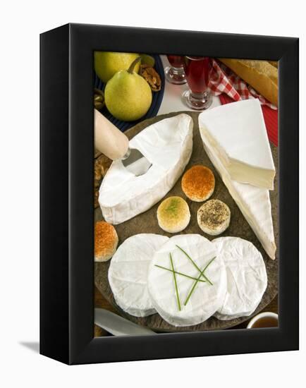 French Cheeses, France-Nico Tondini-Framed Premier Image Canvas