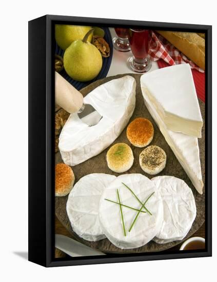 French Cheeses, France-Nico Tondini-Framed Premier Image Canvas