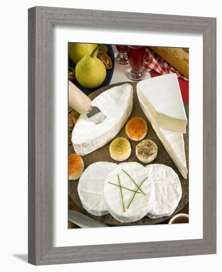 French Cheeses, France-Nico Tondini-Framed Photographic Print