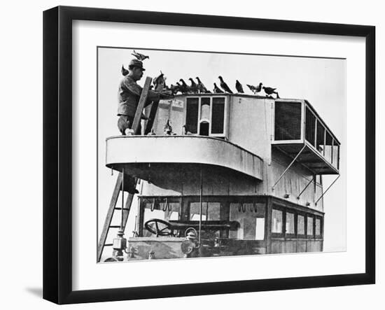 French Communications Via Carrier Pigeons During World War I-Robert Hunt-Framed Photographic Print