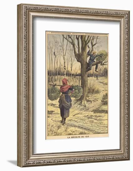 French Countryfolk Harvesting Mistletoe for the Christmas Market-null-Framed Photographic Print