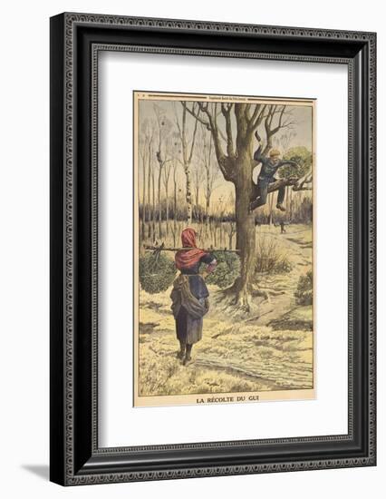 French Countryfolk Harvesting Mistletoe for the Christmas Market-null-Framed Photographic Print