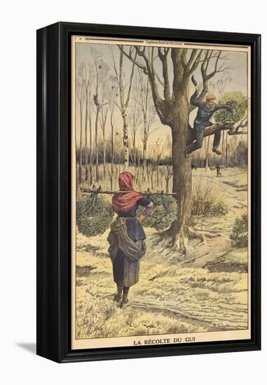 French Countryfolk Harvesting Mistletoe for the Christmas Market-null-Framed Premier Image Canvas