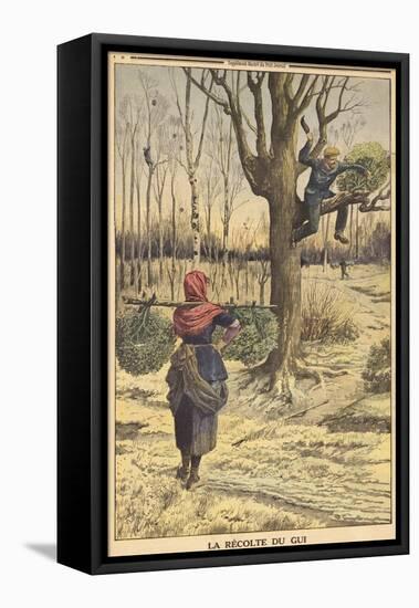 French Countryfolk Harvesting Mistletoe for the Christmas Market-null-Framed Premier Image Canvas