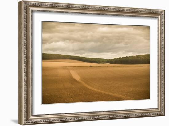 French Countryside II-Erin Berzel-Framed Photographic Print