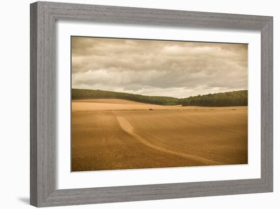 French Countryside II-Erin Berzel-Framed Photographic Print