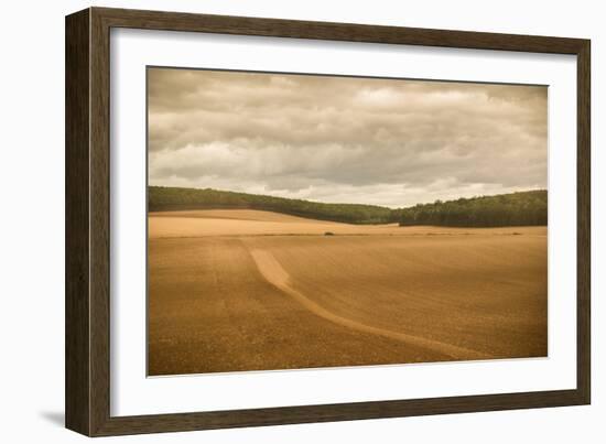 French Countryside II-Erin Berzel-Framed Photographic Print