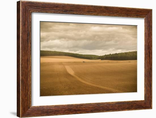 French Countryside II-Erin Berzel-Framed Photographic Print