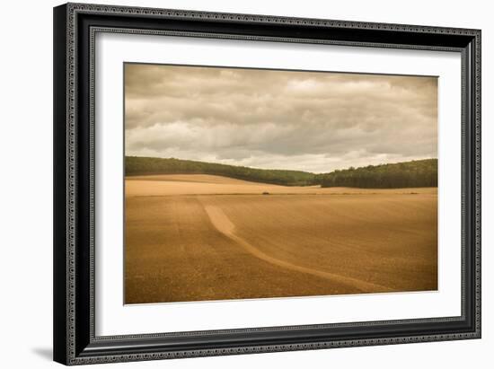 French Countryside II-Erin Berzel-Framed Photographic Print