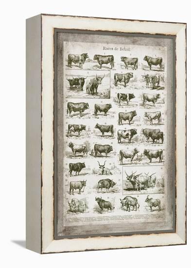 French Cow Chart-Gwendolyn Babbitt-Framed Stretched Canvas