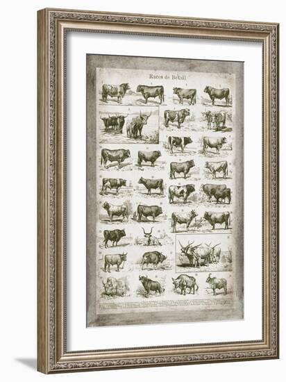 French Cow Chart-Gwendolyn Babbitt-Framed Art Print