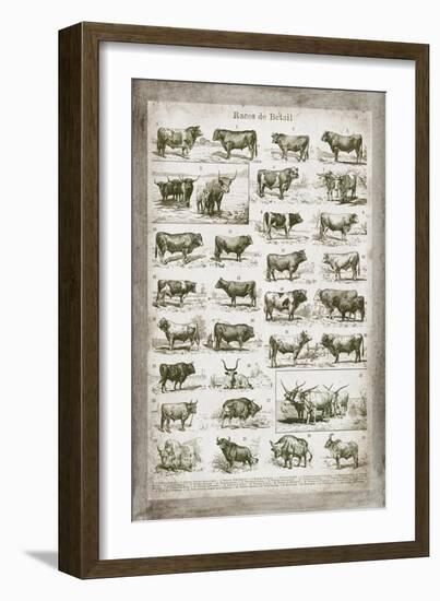 French Cow Chart-Gwendolyn Babbitt-Framed Art Print
