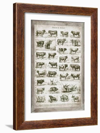 French Cow Chart-Gwendolyn Babbitt-Framed Art Print