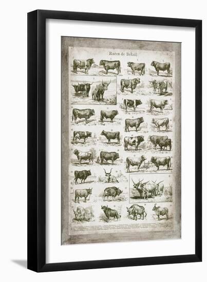 French Cow Chart-Gwendolyn Babbitt-Framed Art Print