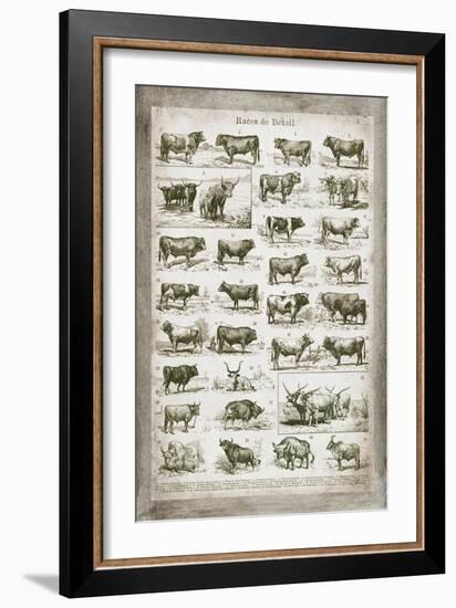 French Cow Chart-Gwendolyn Babbitt-Framed Art Print