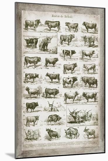 French Cow Chart-Gwendolyn Babbitt-Mounted Art Print