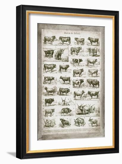 French Cow Chart-Gwendolyn Babbitt-Framed Art Print