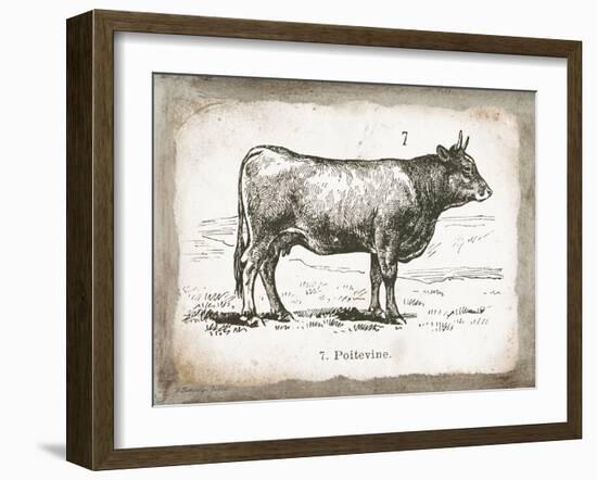 French Cow I-Gwendolyn Babbitt-Framed Art Print