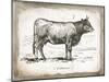 French Cow I-Gwendolyn Babbitt-Mounted Art Print