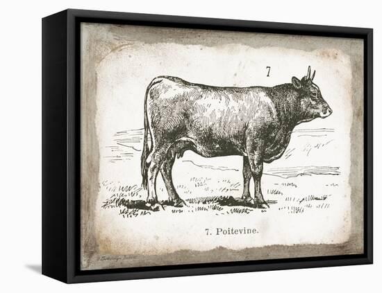 French Cow I-Gwendolyn Babbitt-Framed Stretched Canvas