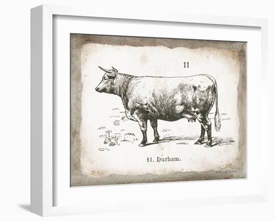 French Cow II-Gwendolyn Babbitt-Framed Art Print