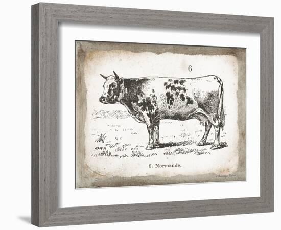 French Cow IV-Gwendolyn Babbitt-Framed Art Print