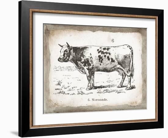 French Cow IV-Gwendolyn Babbitt-Framed Art Print