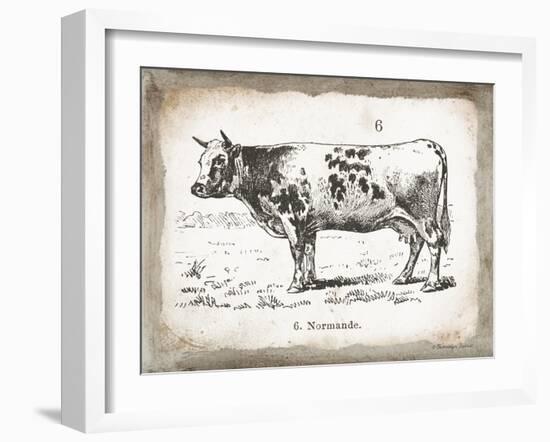 French Cow IV-Gwendolyn Babbitt-Framed Art Print