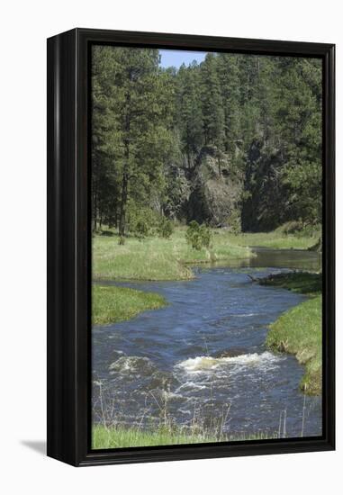 French Creek, Where Gold Was Discovered in the Black Hills, South Dakota-null-Framed Premier Image Canvas