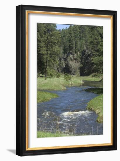 French Creek, Where Gold Was Discovered in the Black Hills, South Dakota-null-Framed Photographic Print