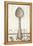 French Cuisine Spoon-Devon Ross-Framed Stretched Canvas