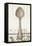 French Cuisine Spoon-Devon Ross-Framed Stretched Canvas