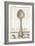 French Cuisine Spoon-Devon Ross-Framed Art Print