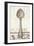 French Cuisine Spoon-Devon Ross-Framed Art Print