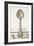 French Cuisine Spoon-Devon Ross-Framed Art Print